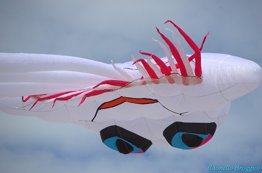 RIMINI 2012 - 230.jpg